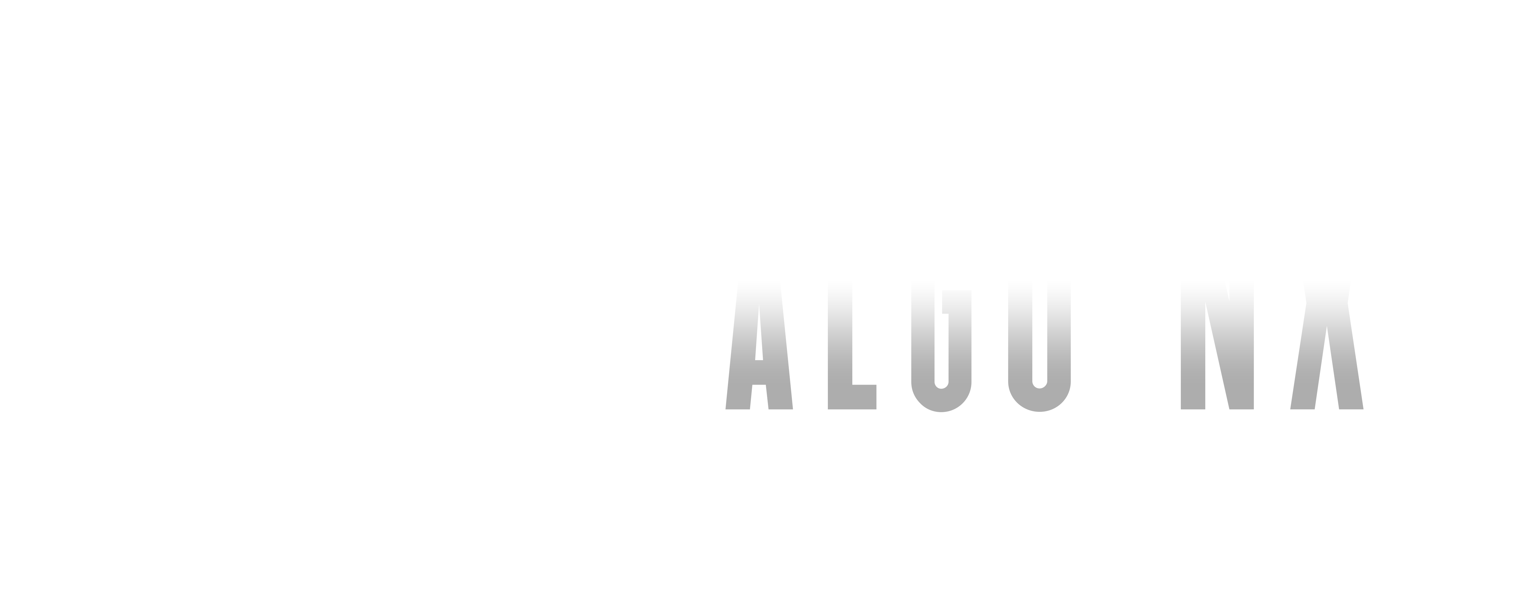 AlgoNx Logo